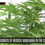 The Medical Marijuana Business in the Caribbean: The Week That Was with Zerith McMillan
